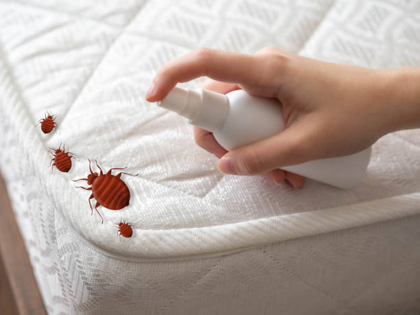 Best Residential Pest Control  in Blue Hills, CT